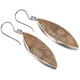 925 Silver Adorable Fossil Coral Sterling Earrings, 1 1/2"