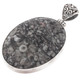 925 Silver Genuine Crinoid Fossil Sterling Pendant, 2"