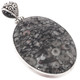 925 Silver Genuine Crinoid Fossil Sterling Pendant, 2"