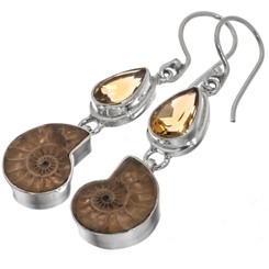 Ammonite Citrine 925 Sterling Silver French Drop Earrings, 1 7/16"