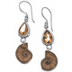 Ammonite Citrine 925 Sterling Silver French Drop Earrings, 1 7/16"