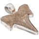 925 Silver Small Genuine Complete Shark Tooth Fossil Sterling Pendant,  1 1/8"