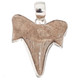 925 Silver Small Genuine Complete Shark Tooth Fossil Sterling Pendant,  1 1/8"