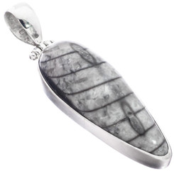 925 Silver Moroccan Orthoceras Fossil Sterling Pendant, 1 3/4"