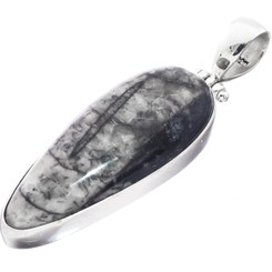 925 Silver Moroccan Orthoceras Fossil Sterling Pendant, 1 3/4"