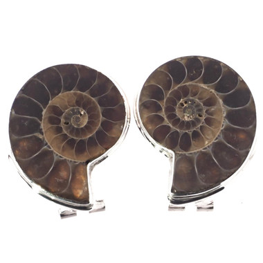 925 Silver Madagascar Ammonite Fossil Omega Stud Earrings, 1 1/8"