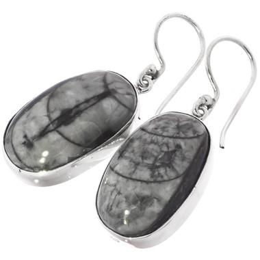 925 Silver Moroccan Orthoceras Fossil Sterling Earrings, 1"