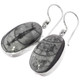 925 Silver Moroccan Orthoceras Fossil Sterling Earrings, 1"