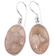 Genuine Fossil Coral Flower Patterned 925 Sterling Silver French Wires Earrings, 1 3/16"
