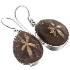 Adorable Genuine Fossil Sand Dollar 925 Sterling Silver Earrings, 11/16"