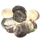 90mm Drilled Iridescent Blacklip Oyster Mother Of Pearl Shell Cab Bead, 3 9/16"