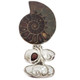 925 Silver Clearance Biwa Pearl Ammonite Fossil Red Garnet Pendant, ! 2 3/16"