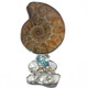 925 Silver Sale! Stick Pearl Ammonite Fossil Blue Topaz Sliding Pendant, 2"