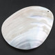 Genuine Drilled South Pacific Pink Shell Cabochon Bead, 3 3/8"