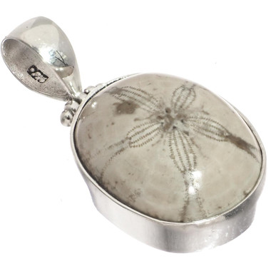 Fossil Mexican Sand Dollar Flower 925 Sterling Silver Pendant, 1 3/8"