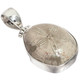 Fossil Mexican Sand Dollar Flower 925 Sterling Silver Pendant, 1 3/8"