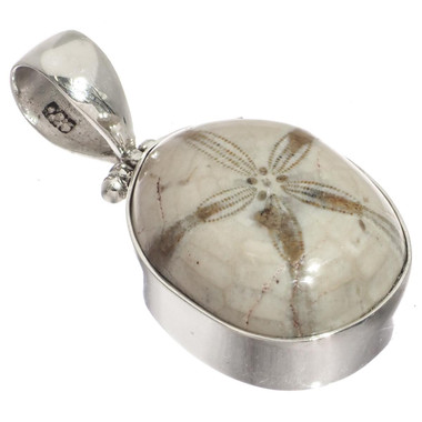 Fossil Mexican Sand Dollar Flower 925 Sterling Silver Pendant, 1 3/8"