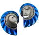 Nautilus Shell Deep Blue Focal Bead Matched Pair Cab Cabochon, 1 1/4"