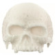 1" Large Mens Jawless Skull Bison Bone Hand Carving Ring