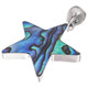 925 Silver Star Blue Green Paua Abalone Shell Sterling Pendant, 1 1/2"