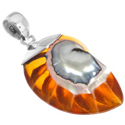 925 Silver Cognac Color Iridescent Nautilus Shell In Sterling Pendant, 1 1/4"