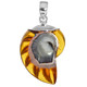 925 Silver Cognac Color Iridescent Nautilus Shell In Sterling Pendant, 1 1/4"
