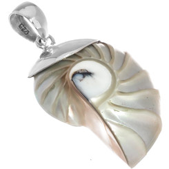 925 Silver Natural Iridescent Nautilus Shell In Sterling Pendant, 1 1/4"