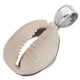 925 Silver Beach Tropical Cowry Shell Sterling Pendant, 1 1/4"
