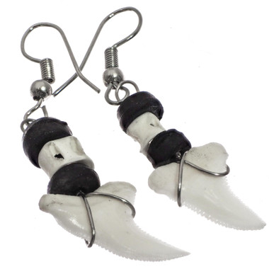 Awesome White Tip Shark Tooth Surfer Style Earrings, 1 1/4"