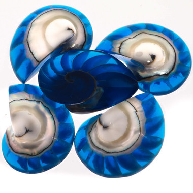 Exposed Chamber Nautilus Shell Blue Resin Fill Focal Bead Cab Cabochon, 1 1/4"