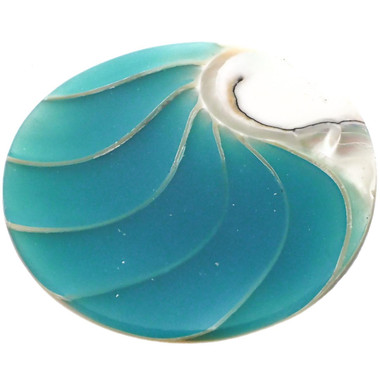 Exposed Chamber Nautilus Shell Turquoise Blue Resin Filll Bead Cabochon, 1 5/8"