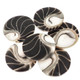 Genuine Exposed Chamber Nautilus Shell Black Bead Cab Cabochon, 15/16"