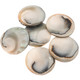 Genuine Exposed Chamber Nautilus Shell Black Bead Cab Cabochon, 15/16"
