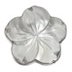 925 Silver Radiant White Oyster Mother Of Pearl Shell Flower Adjustable Ring