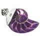 925 Silver Purple Iridescent Nautilus Shell In Sterling Pendant, 1 3/4"