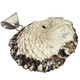 925 Silver Eagle Real Deer Antler Burr Sterling Pendant, 2"