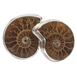 925 Silver Madagascar Ammonite Fossil Stud Post Earrings, 7/8"
