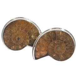 925 Silver Madagascar Ammonite Fossil Stud Post Earrings, 7/8"