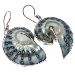 Iridescent Blue Batik Polish Nautilus Shell Sterling Silver Earrings, 1 1/4"