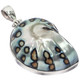 925 Silver Paisley Batik Polish Nautilus Shell In Sterling Pendant, 2"