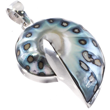 925 Silver Paisley Batik Polish Nautilus Shell In Sterling Pendant, 2"