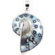 925 Silver Paisley Batik Polish Nautilus Shell In Sterling Pendant, 2"