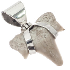 925 Silver Small Genuine Complete Shark Tooth Fossil Sterling Pendant, 1 1/8"