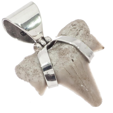 925 Silver Small Genuine Complete Shark Tooth Fossil Sterling Pendant, 1 1/8"