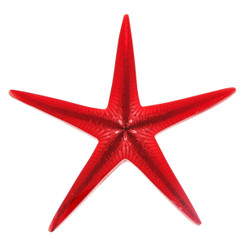 Deep Red Real Seastar Starfish In Resin Focal Bead Cab Cabochon,2"