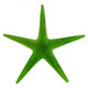 Green Real Seastar Starfish In Resin Focal Bead Cab Cabochon, 2"