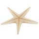 Natural Real Seastar Starfish In Resin Focal Bead Cab Cabochon, 2"