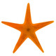 Orange Real Seastar Starfish In Resin Focal Bead Cab Cabochon, 1 3/8"