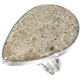 Teardrop Indonesian Fossil Coral Sterling Silver Us 7 Ring, 1 1/4"