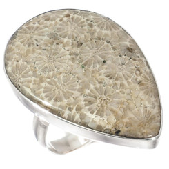 Teardrop Indonesian Fossil Coral Sterling Silver Us 7 Ring, 1 1/4"